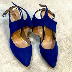 Beautiful great blue shoes, great for the holidays!